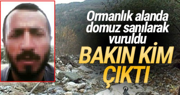 Domuz sanılarak vurulan kişi cinayet zanlısı çıktı !